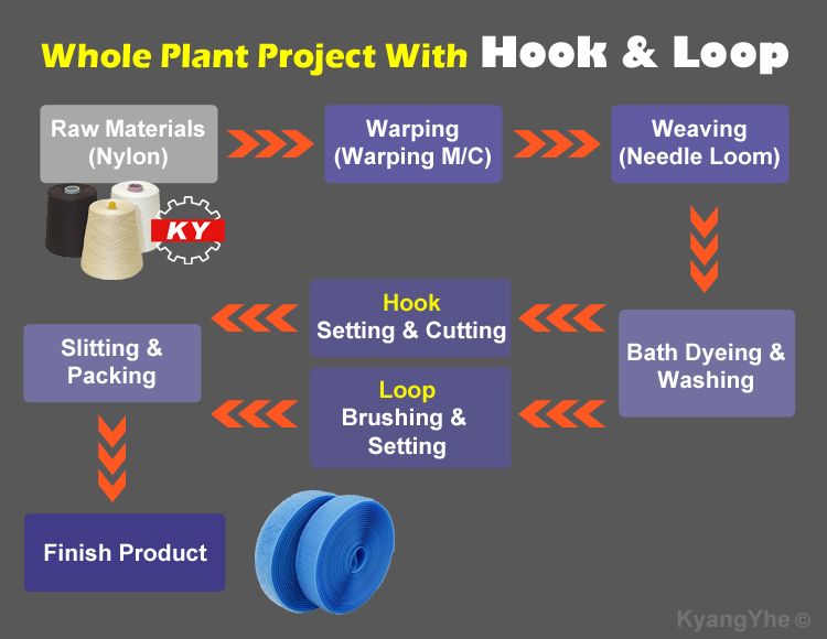 hook-and-loop-whole-plant